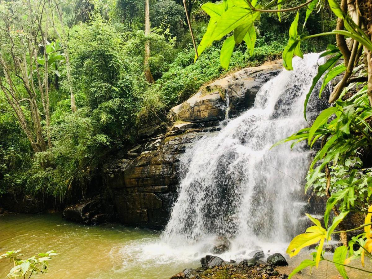 River Splendour Home Stay Ella Luaran gambar