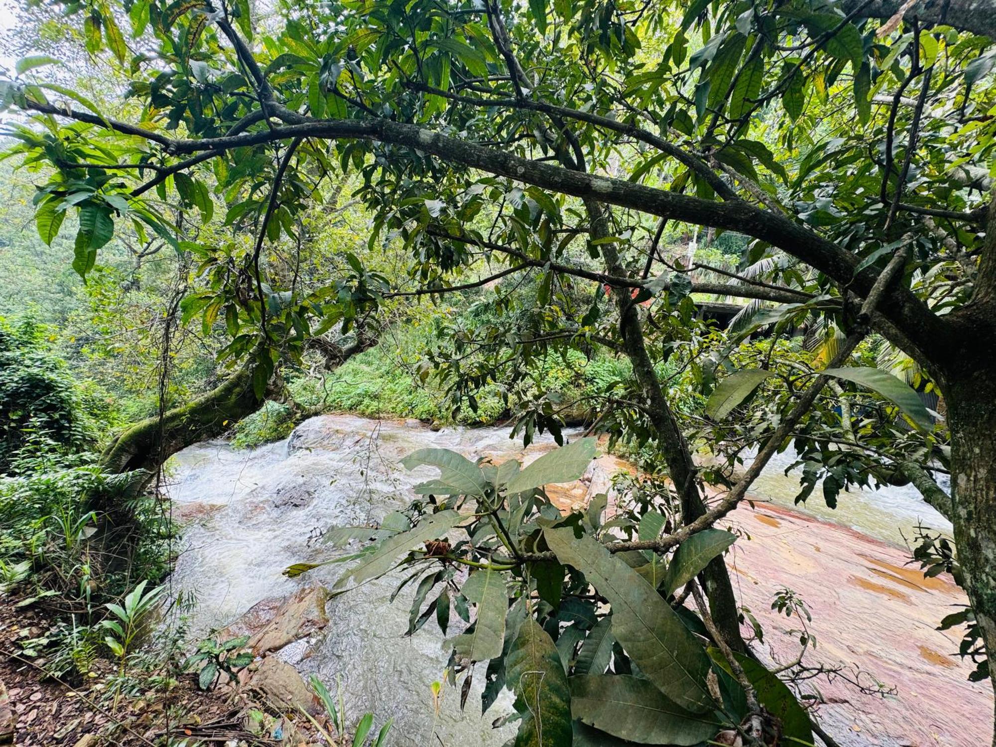 River Splendour Home Stay Ella Luaran gambar